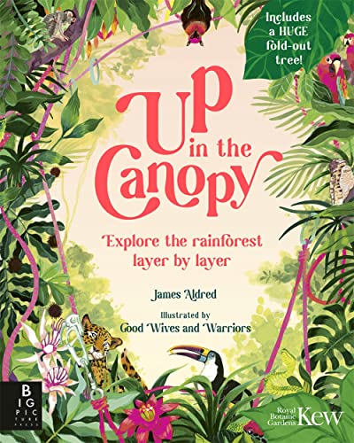 Up in the Canopy: Explore the Rainforest, Layer by Layer von Big Picture Press