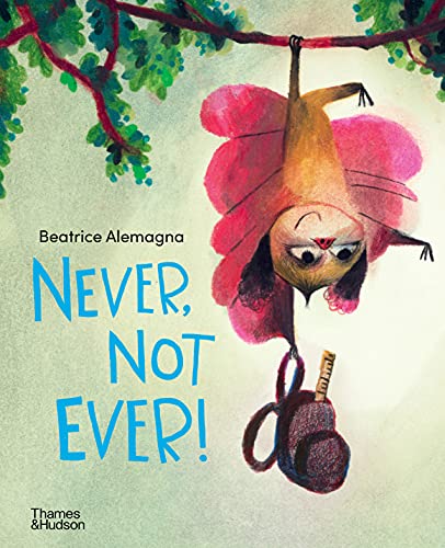 Never, Not Ever! von Thames and Hudson Ltd