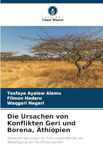 Die Ursachen von Konflikten Geri und Borena, Äthiopien: Herausforderungen für Führungskräfte bei der Bewältigung von Konfliktursachen