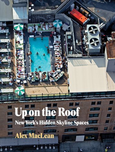 Up on the Roof: New York's Hidden Skyline Spaces von Princeton Architectural Press