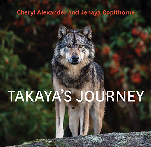 Takaya's Journey von Rocky Mountain Books