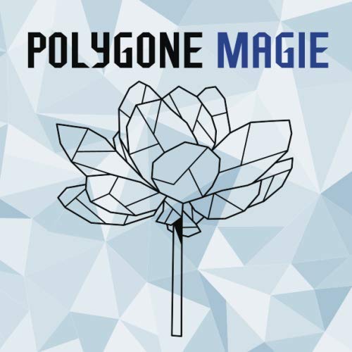 Polygone Magie: Das etwas andere Malbuch mit 50 tollen geometrischen Motiven für Kinder ab 10+ Jahren zum Ausmalen und als Kopiervorlage für PädagogInnen. (Kunst der Formen, Band 5) von Independently published