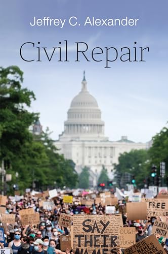 Civil Repair von Polity