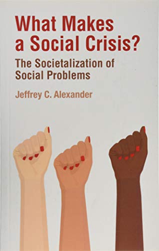 What Makes a Social Crisis?: The Societalization of Social Problems von Polity