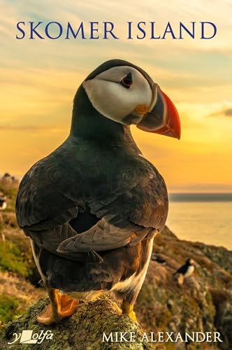 Skomer Island: The History and Natural History of a National Nature Reserve von Y Lolfa