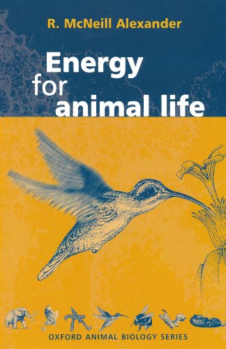 Energy For Animal Life (Oxford Animal Biology Series) von Oxford University Press, USA