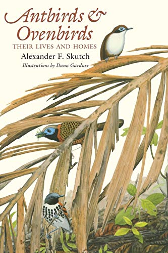 Antbirds and Ovenbirds: Their Lives and Homes (Corrie Herring Hooks Series) von UNIV OF TEXAS PR