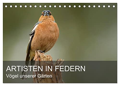 Artisten in Federn - Vögel unserer Gärten (Tischkalender 2024 DIN A5 quer), CALVENDO Monatskalender von CALVENDO