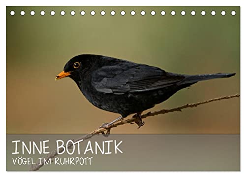 INNE BOTANIK - Vögel im Ruhrpott (Tischkalender 2025 DIN A5 quer), CALVENDO Monatskalender