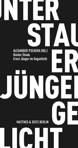 Bunter Staub. Ernst Jünger im Gegenlicht (Fröhliche Wissenschaft) von Matthes & Seitz Berlin