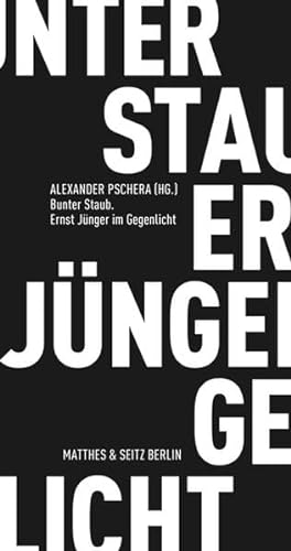 Bunter Staub. Ernst Jünger im Gegenlicht (Fröhliche Wissenschaft) von Matthes & Seitz Berlin