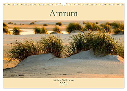 Amrum Insel am Wattenmeer (Wandkalender 2024 DIN A3 quer), CALVENDO Monatskalender von CALVENDO