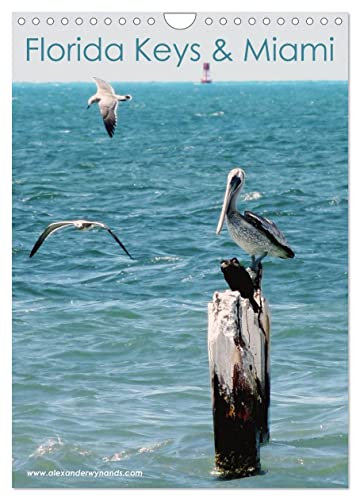 Florida Keys und Miami (Wandkalender 2024 DIN A4 hoch), CALVENDO Monatskalender