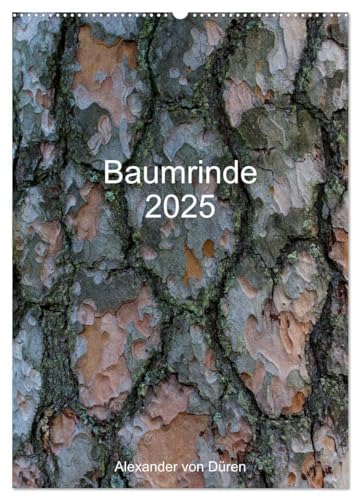 Baumrinde 2025 (Wandkalender 2025 DIN A2 hoch), CALVENDO Monatskalender: Baumrinden oder Borke weisen eine Vielzahl unterschiedlichster Farben und ... und werden nie langweilig. (CALVENDO Natur) von CALVENDO