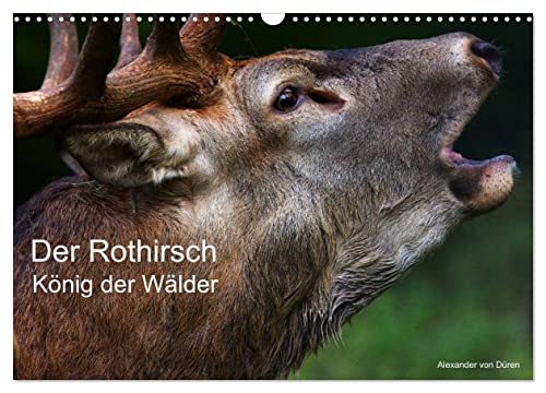 Der Rothirsch, König der Wälder (Wandkalender 2024 DIN A3 quer), CALVENDO Monatskalender