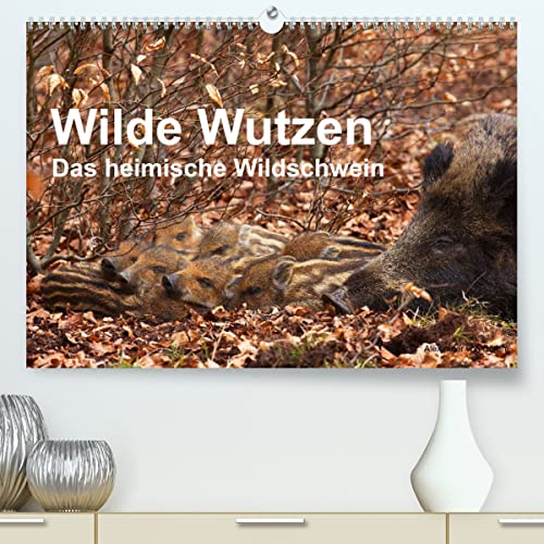 Wilde Wutzen. Das heimische Wildschwein (hochwertiger Premium Wandkalender 2024 DIN A2 quer), Kunstdruck in Hochglanz