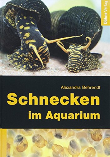 Schnecken im Aquarium von Daehne Verlag