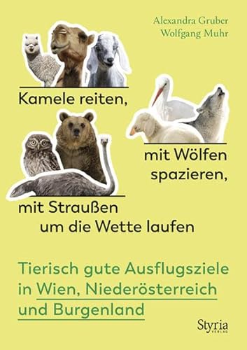 Kamele reiten, mit Wölfen spazieren, mit Straußen um die Wette laufen: Tierisch gute Ausflugsziele in Wien, Niederösterreich und Burgenland