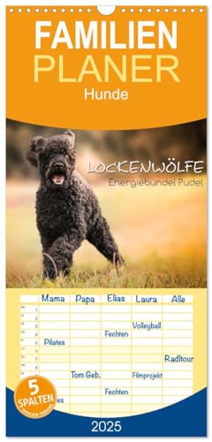 Familienplaner 2025 - Lockenwölfe - Energiebündel Pudel mit 5 Spalten (Wandkalender, 21 cm x 45 cm), CALVENDO von CALVENDO