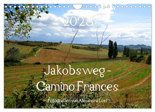 Jakobsweg - Camino Frances (Wandkalender 2025 DIN A4 quer), CALVENDO Monatskalender