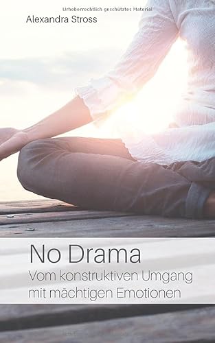 No Drama: Vom konstruktiven Umgang mit mächtigen Emotionen von Independently published