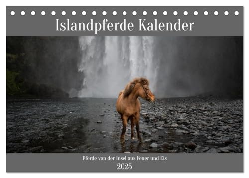 Islandpferde Kalender - Pferde von der Insel aus Feuer und Eis (Tischkalender 2025 DIN A5 quer), CALVENDO Monatskalender von CALVENDO