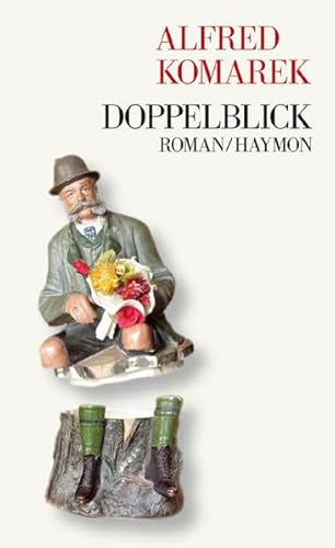 Doppelblick: Roman von Haymon Verlag