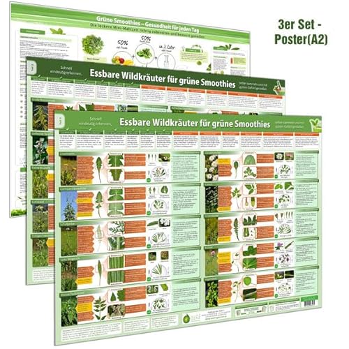 [3er Set] Das große Grüne Smoothies Wandposter-Set (2024) – Erkunde, sammle und genieße Wildkräuter für frische grüne Smoothies - täglich gesunde ... selber sammeln und mit gutem Gefühl genießen) von FuturePaceMedia