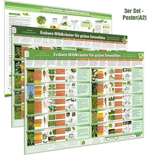 [3er Set] Das große Grüne Smoothies Wandposter-Set (2024) – Erkunde, sammle und genieße Wildkräuter für frische grüne Smoothies - täglich gesunde ... selber sammeln und mit gutem Gefühl genießen)