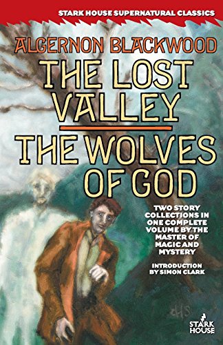 The Lost Valley / The Wolves of God von Stark House Press