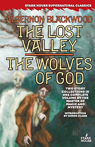 The Lost Valley / The Wolves of God The Lost Valley / The Wolves of God von Stark House Press