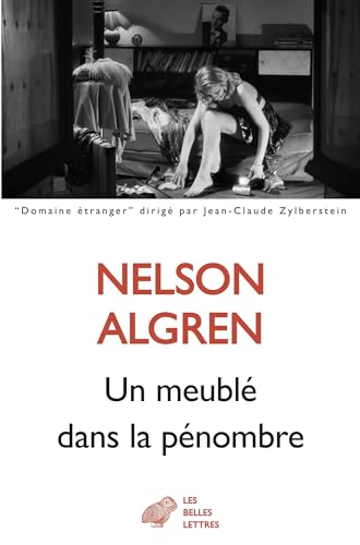 Un Meuble Dans La Penombre von Les Belles Lettres