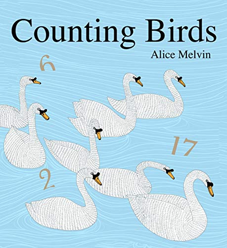 Counting Birds: Alice Melvin