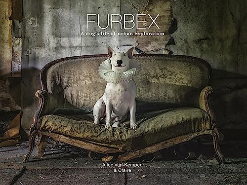 Kempen, A: Furbex: A Dog's Life of Urban Exploration von Ammonite Press
