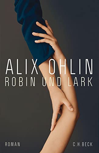 Robin und Lark: Roman