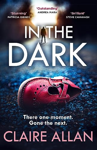 In The Dark: The new whiplash-inducing crime thriller from Irish bestseller