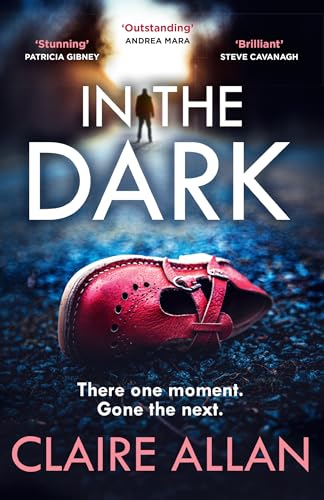 In The Dark: The new whiplash-inducing crime thriller from Irish bestseller