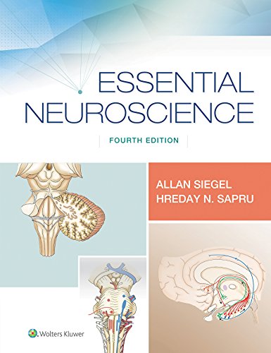 Essential Neuroscience von Lippincott Williams & Wilkins