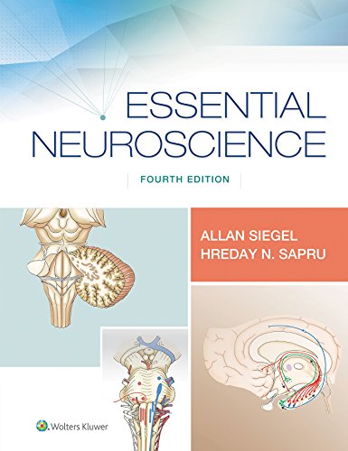 Essential Neuroscience