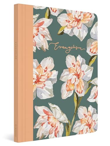 Holy Bible: Esv Prayer Journal: 30 Days on Evangelism