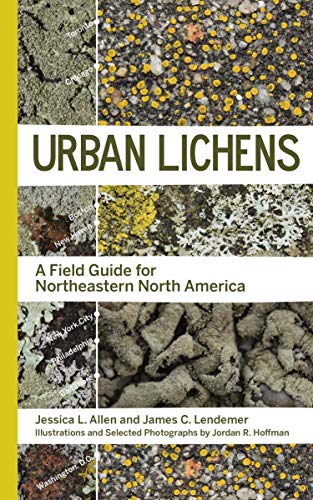 Urban Lichens: A Field Guide for Northeastern North America von Yale University Press