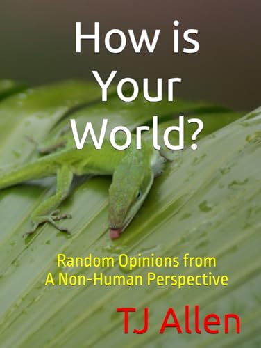 How is Your World: Random Opinions from A Non-Human Perspective How is Your World: Random Opinions from A Non-Human Perspective von Independently published