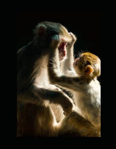 Me and My Monkey: A Guide to Primate Companionship Me and My Monkey: A Guide to Primate Companionship von Independently published