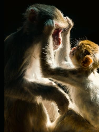 Me and My Monkey: A Guide to Primate Companionship Me and My Monkey: A Guide to Primate Companionship von Independently published