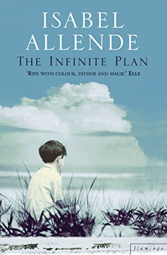 THE INFINITE PLAN von Harper Perennial