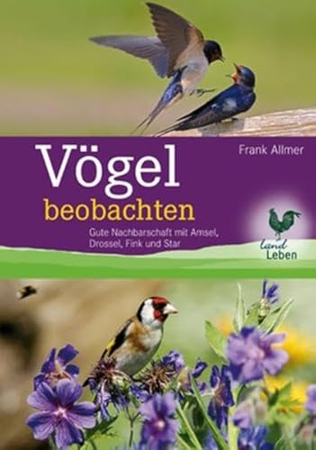 Vögel beobachten: Gute Nachbarschaft mit Amsel, Drossel, Fink und Star (LandLeben)