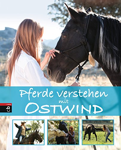 Pferde verstehen mit Ostwind (Die Ostwind-Sachbuch-Reihe, Band 1)