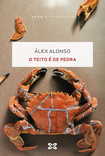 O teito é de pedra (EDICIÓN LITERARIA - NARRATIVA) von Edicións Xerais