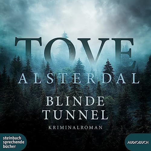 Blinde Tunnel Blinde Tunnel von steinbach sprechende bücher