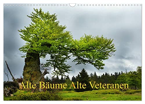 Alte Bäume Alte Veteranen (Wandkalender 2025 DIN A3 quer), CALVENDO Monatskalender von CALVENDO